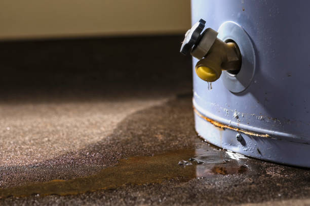 Best Water damage restoration process  in Hayfield, MN