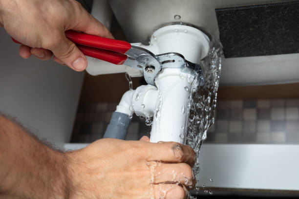 Best 24-hour water damage restoration  in Hayfield, MN