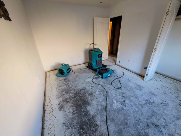 Best 24/7 water damage repair  in Hayfield, MN