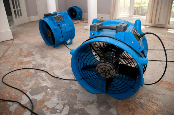 Best Ceiling water damage repair  in Hayfield, MN