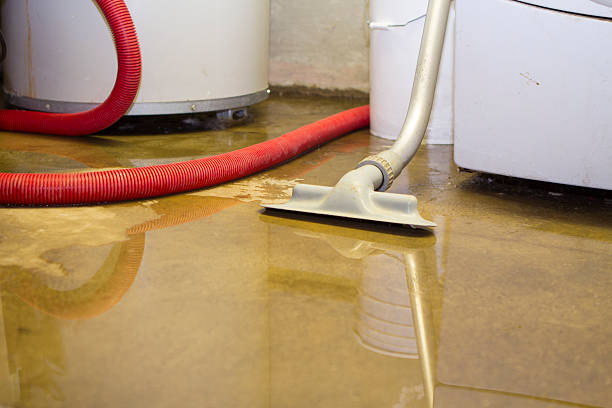 Best Ceiling water damage repair  in Hayfield, MN