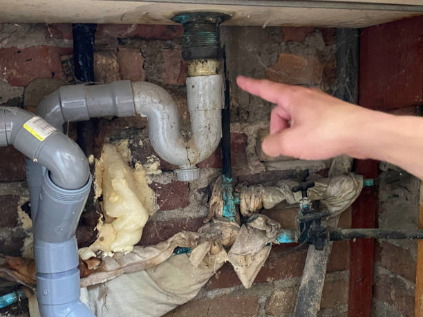 Best Flood damage cleanup  in Hayfield, MN