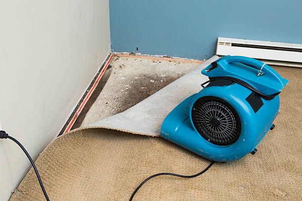 Fire Damage Restoration in Hayfield, MN